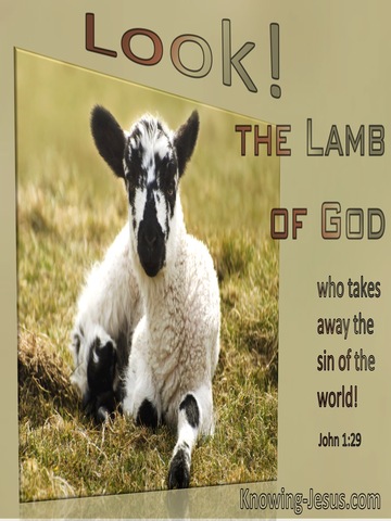 John 1:29 Look. The Lamb Of God Who Takes Away The Sin Of The World (windows)03:15